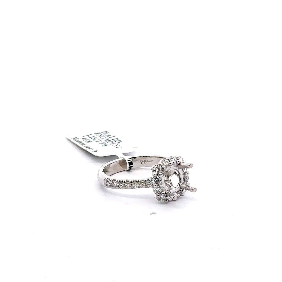 Platinum 1.00CT Diamond Halo Engagement Ring Mounting, 7.4gm, Size 6.5, S16188